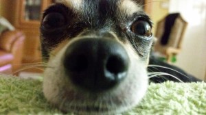 I can smell you too!